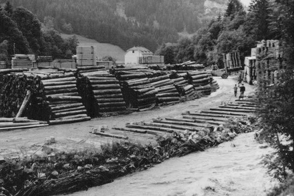 Schwarzweißaufnahme Außenanlage Schafferholz